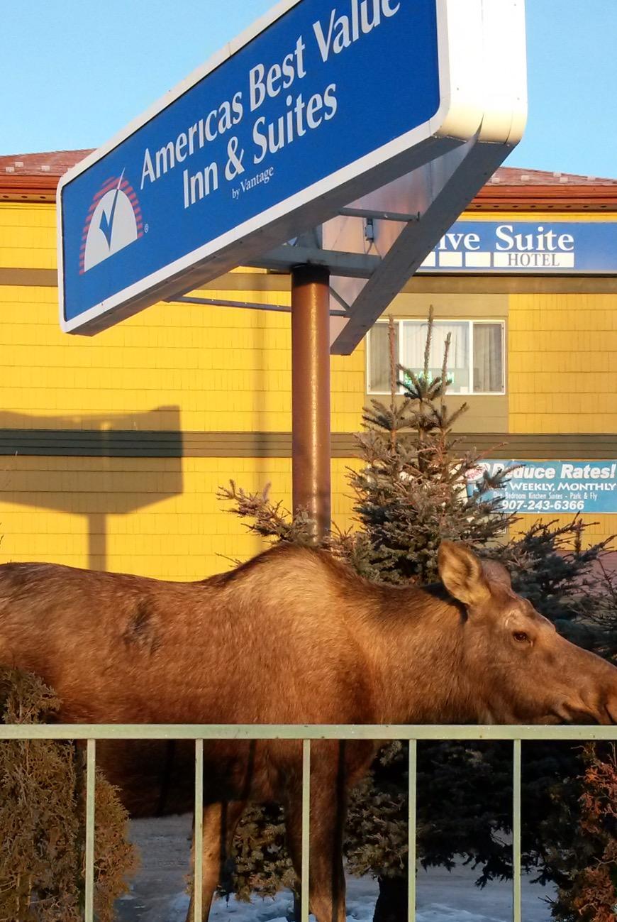 Americas Best Value Inn & Suites Anchorage Airport Eksteriør billede